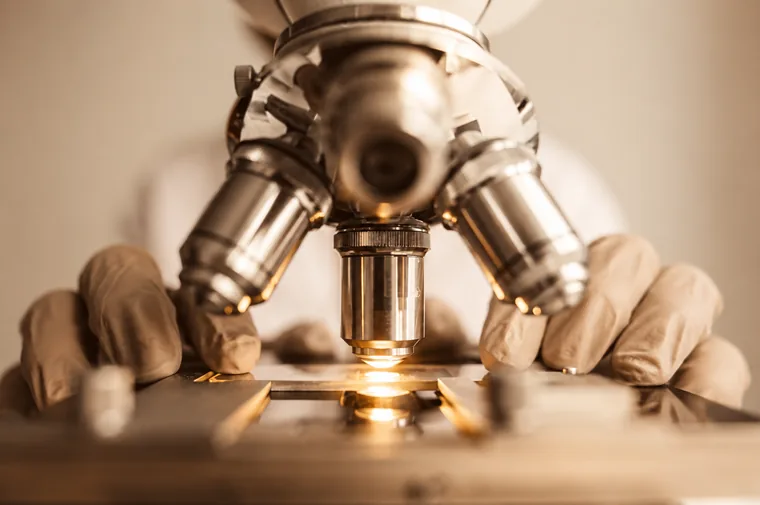 A microscope in use during clinical research