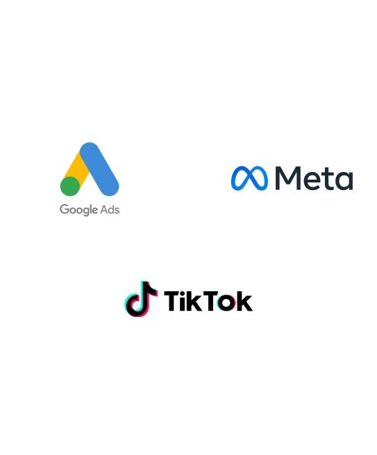 Paid ads and media buying: Google Ads, Meta, TikTok