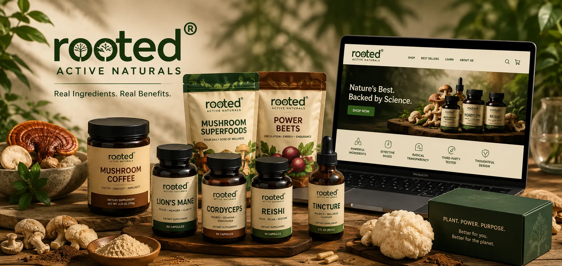 Rooted Active Naturals: Top Rated Seller in Amazon’s Mushroom Category, With 55% Cart Recovery